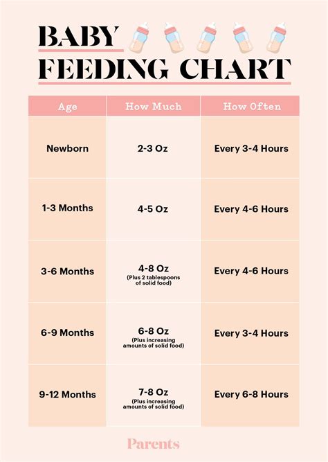 Newborn and Baby Feeding Chart in the 1st Year 